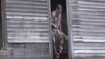 Daytime Raccoon Calling: Hunting Coons in Abandoned Houses Part 2