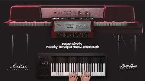 lounge lizard expressive suite