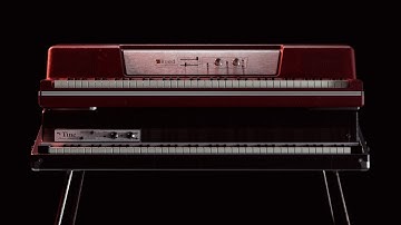 lounge lizard expressive suite