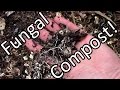 Free Fungally Dominated Compost & Mulch