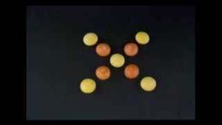 Skittles Stop Motion Coursework