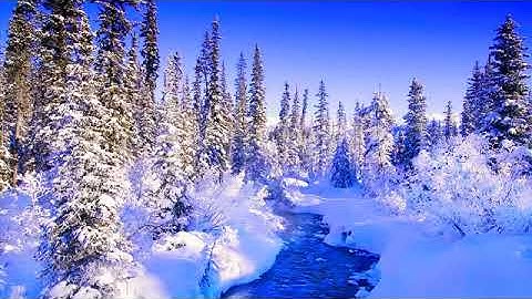 سورة الرحمن تلاوة مميزة  [ كاملــــة ] بصوت هادئ يريح القلوب ❤