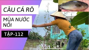 Tập 112 - Câu Cá Rô Đồng Mùa Nước Nổi Ở Đồng Tháp Mười
