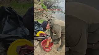 Ловля леща весной на Западной Двине #fishingbelarus