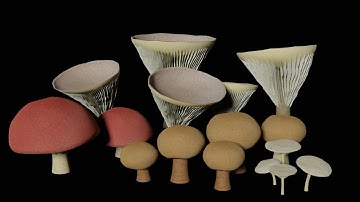Procedural mushroom generator for blender: Part 4 textures