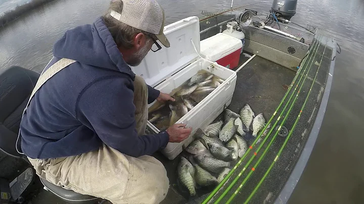 Ouachita River crappie fishing