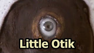 Little Otik - A Movie With A Very Hungry Baby
