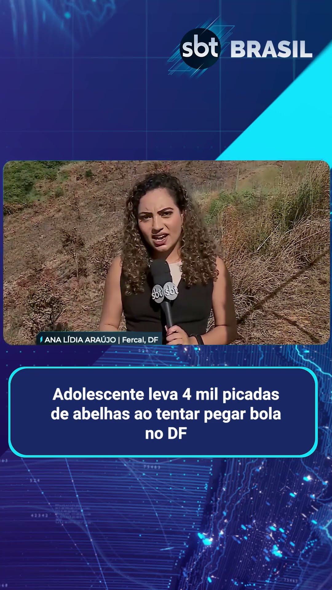 Criança é internada após sofrer mais de 4 mil picadas de abelhas no DF | SBT Brasil (17/02/25)