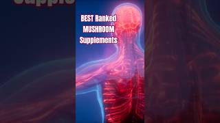 Top 5 Mushroom Supplements: That are actually Worth it (by Review)
