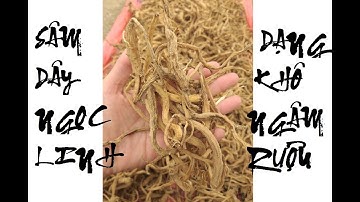 SÂM DÂY NGỌC LINH KHÔ ( ĐẲNG SÂM ) RƯỢU THƠM NGỌT RÂT ĐÁNG NGÂM THƯỞNG THỨC
