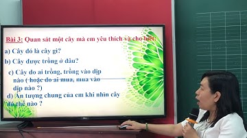 Tập làm văn- Lớp 4-Tuần 25-Luyện tập, xây dựng mở bài trong bài văn tả cây cối