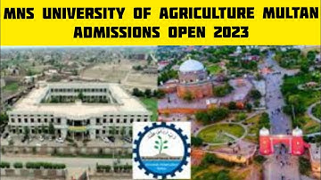 MNS-University of Agriculture, Multan :: University of Agriculture Admission Open 2023 :: Apply Now.