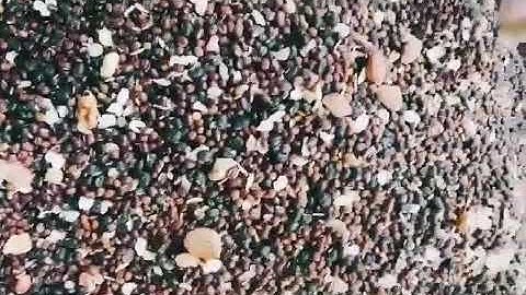 Ngũ cốc dinh dưỡng HACO bổ sung canxi cho mọi lứa tuổi