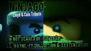 Im Not Scared Of The Dark Ninjago