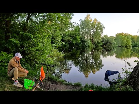 ЛЯЩ з МОРЯ зайшов в СУЛУ! Нчна РИБАЛКА пд ПРОЖЕКТОРОМ!!