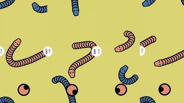 2 Player games : the Challenge Snakes Computer vs me Multiplayer Game