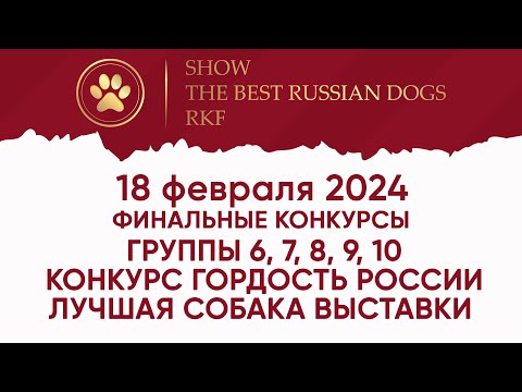 Лучшие собаки России 18 февраля 2024. Финальные конкурсы