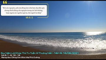 Suy Niệm Lời Chúa: Thứ Tư Tuần XI Thường Niên Năm B, 16/06/2021