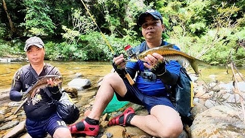 Cá Tro Tuôn Theo Dòng Rất Nhanh | Câu Lure CÁ TRO trong Rừng