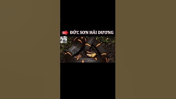 rắn lục đầu bạc #shorts