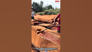 Worker Job Innovation: Precise Work Shaping Logs! #work