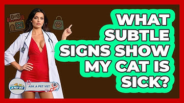 What Subtle Signs Show My Cat Is Sick? - Ask A Pet Vet