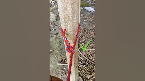Two rope connection knot💯✅ #shorts