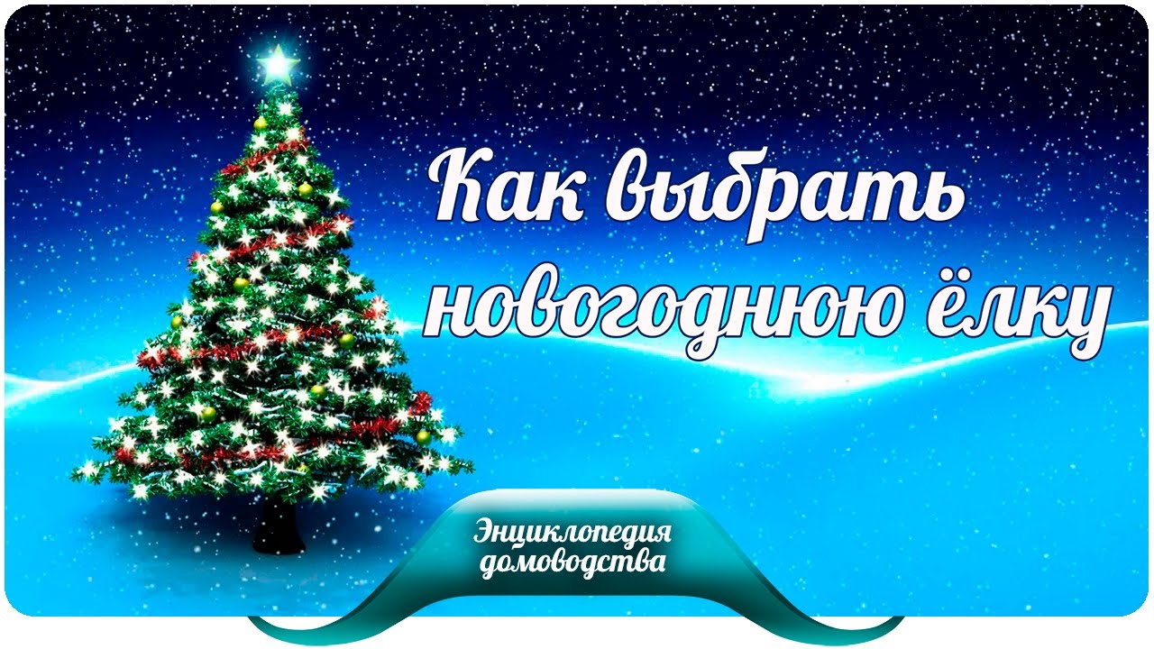 Как выбрать новогоднюю елку Как выбрать новогоднюю елку