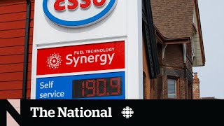 Gas theft on the rise as prices continue to increase
