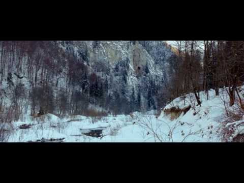 The Timber -