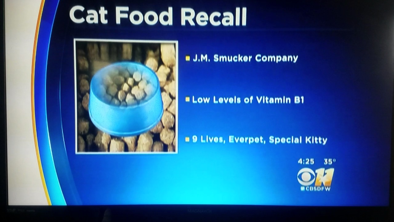 Cat Food Recall YouTube