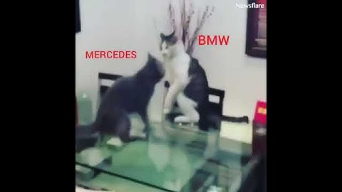 вечный спор mersedes vs bmw
