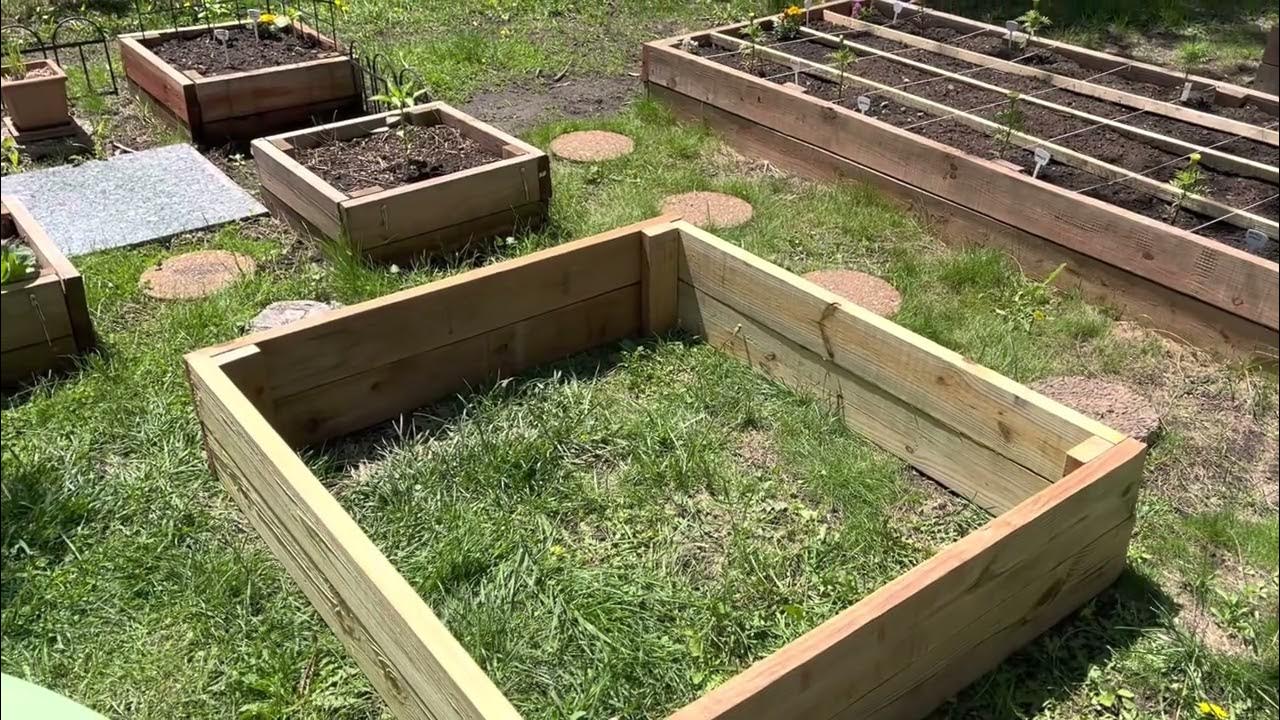 Making a couple more raised beds YouTube