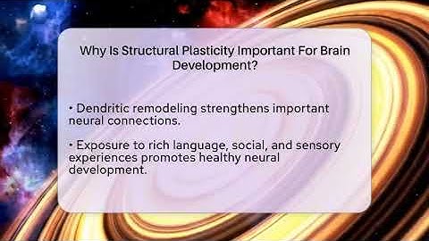 Why Is Structural Plasticity Important For Brain Development? - Brain Development Hub