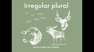 Irregular plurals for some animals | الجمع لبعض الحيوانات في اللغة الإنجليزية.