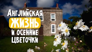 Почему англичане не мерзнут, какие цветы посадить на зиму и музей английской жизни.