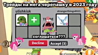 Трейды на мега черепашку в 2023 году 🐢Уже ценится как фрост???