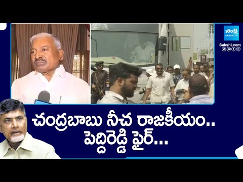 Peddireddy Ramachandra Reddy Comments On Chandrababu | CM Jagan Vijayawada Incident | @SakshiTV - SAKSHITV