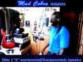 MAD COBRA dubplate Dainjamentalz Jamaica