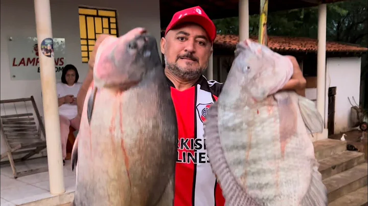 TE QUERIA SOLTAR OS PEIXES DE CHARLLES | CHCARA CO...