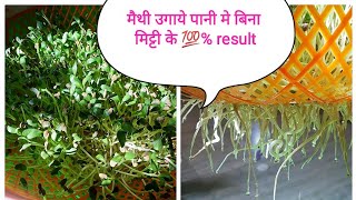 मैथी उगाये पानी मे बिना मिट्टी के 6,7 दिन मे ताजी मैथी तैयार...How to grow Methi in water