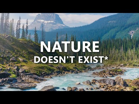 On Ecological Disconnect, Climate Despair, and Our Changing Relation to "Nature"