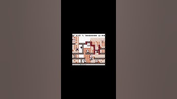 "Secret Exit" in Donkey Kong 