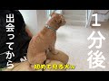 動物病院でこんな事されたの初めてです！！！