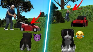 VIREI UM GATO E DESTRUIR TUDO😺😂CAT SIMULATOR, joguinho do gato maluco, jogo de simulação de gato screenshot 3