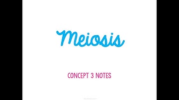 Unit 4 Genetics Concept 3 Notes *UPDATED*