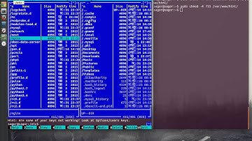 Nginx + Virtual Host Configure in 15 min