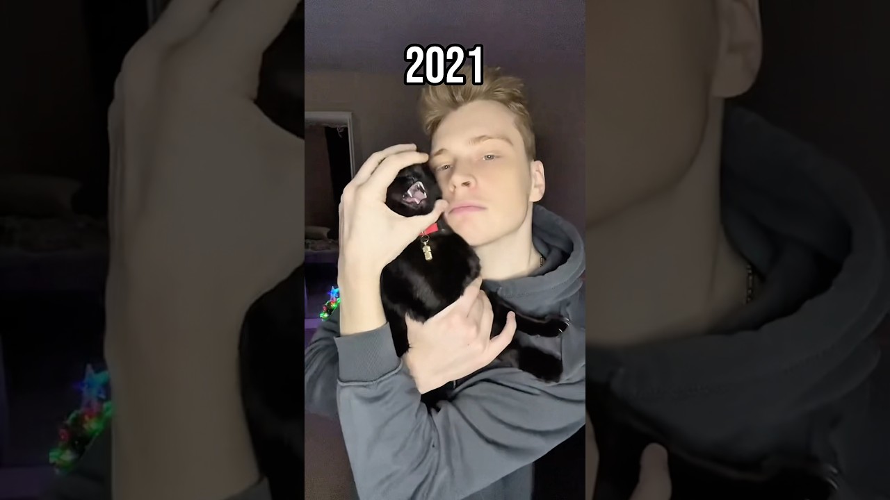 Famous cat memes (Then vs Now) #cat #shorts #legend #memes