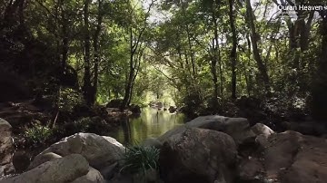 033 - Sourat Al Ahzab - Soud Al Shraim سورة الأحزاب - سعود الشريم