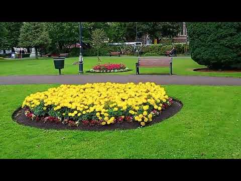 Neath Town|Wales|#travel#adventure#wales#beautiful#town#parks#viral#nature#tourism#neath#walkthrough